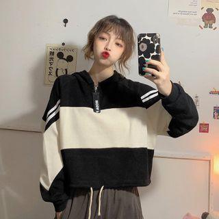 Half-zip Paneled Sweatshirt
