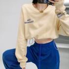 Embroidered Drawstring-hem Cropped Sweatshirt In 5 Colors