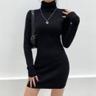Turtleneck Long-sleeve Ribbed Knit Bodycon Mini Dress