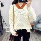 Ripped V-neck Long-sleeve Knitted Top
