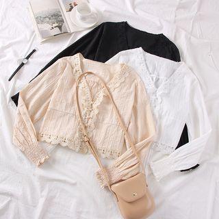 Lace-trim V-neck Crop Blouse