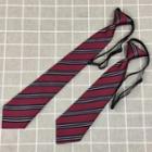Striped No Tie Neck Tie