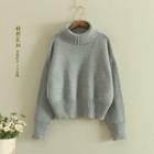 Turtleneck Plain Sweater