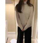 Turtle-neck Wool Blend Ribbed Knit Top