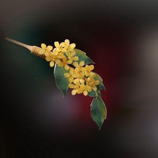 Flower Hair Stick 1pc - Yellow & Green - One Size