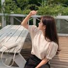Puff-sleeve Embroidery Blouse Beige - One Size
