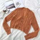 Plain Cable-knit V-neck Single-breasted Long-sleeve Cardigan