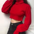 Cropped Turtleneck Long-sleeve Knit Top Red - One Size