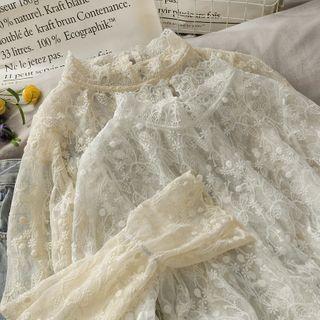 Stand-collar Embroidered Sheer Lace Top