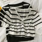 Eyelet Striped V-neck Crop Knit Top