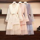 Set: Long-sleeve Midi Mesh Dress + Belted Asymmetric Knit Vest