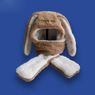 Rabbit Ear Chenille Hooded Scarf