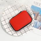 Accessory Pouch Red - One Size
