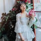 Chiffon Long-sleeve Midi Layered Dress
