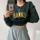 Hawaii Embroidered Loose Sweatshirt