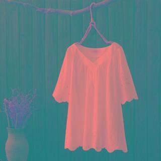 V-neck Short-sleeve Embroidered Blouse