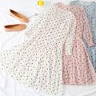 Dotted Mesh A-line Dress With Slipdress