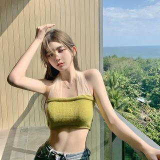 Set: Halter Neck Mesh Panel Camisole Top + Cardigan