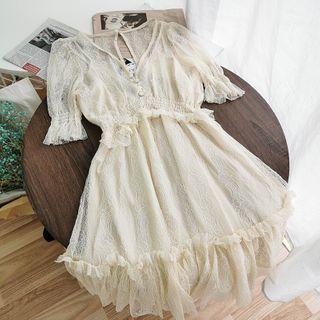 V-neck Bell-sleeve A-line Mesh Dress