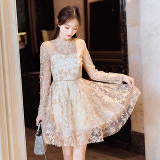Round Neck Embroidered Mesh A-line Dress