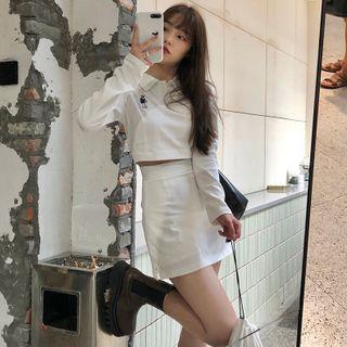 Set: Embroidered Polo Pullover + A-line Skirt