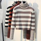 Long-sleeve Turtleneck Striped Cropped Knit Top
