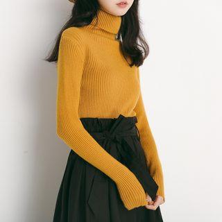 Turtleneck Plain Knit Long-sleeve Top