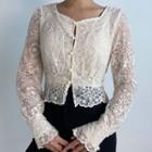 Long-sleeve Mesh Lace Blouse