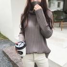 Plain Ribbed Turtleneck Long Sleeve Knit Top