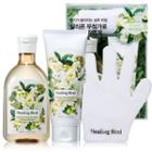 Healing Bird - Botanical Hair Set (freesia & Green Bouquet): Shampoo 300ml + Conditioner 200ml + Quick-dry Glove 1pc 3pcs