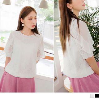 Scalloped Neckline Ruffle Trim Lace Top