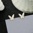 Butterfly Ear Stud 1 Pair - 925 Silver Earrings - One Size