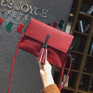 Faux-leather Tassel Flap Cross Bag