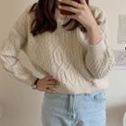 V-neck Cable Knitted Crop Sweater