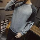 Panel Raglan Round Neck Pullover