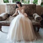 Spaghetti-strap V-neck Mesh A-line Evening Gown