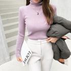 Turtleneck Colored Rib Knit Top