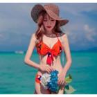 Set: Bird Print Bikini + Off Shoulder Cover Up Dress