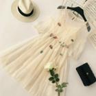 Set: Slipdress + Long-sleeve Sheer A-line Midi Dress