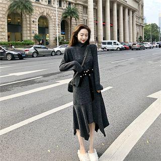 Turtle-neck Long-sleeve Slim-fit Knit Dress