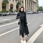 Turtle-neck Long-sleeve Slim-fit Knit Dress