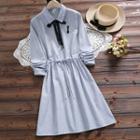 Long-sleeve Cat Embroidered Pinstriped Shirt Dress