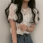 See-through Lace Short-sleeve Top