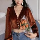 Long Sleeve V-neck Velvet Buttoned Cropped Top