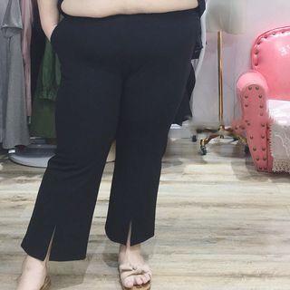 Plus Size Dress Pants