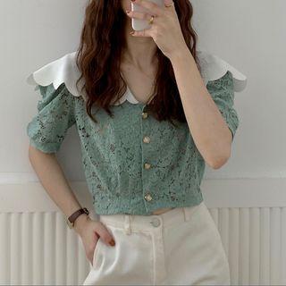 Collared Lace Cropped Top