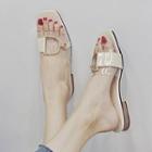 Buckle Clear Band Sandals