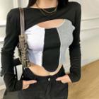 Set: Long-sleeve Crop Top + Color Block Camisole Top