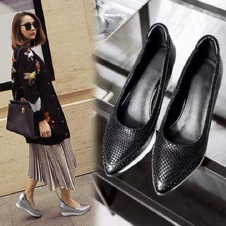 Pointed Wedge Shoes