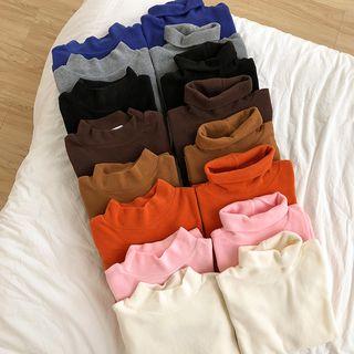 Turtleneck / Mock-neck Long-sleeve Top